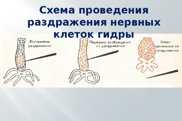 Kraken рабочая ссылка onion