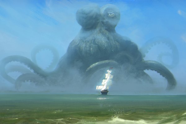 Kraken com whitenet
