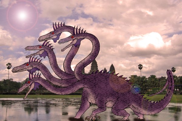 Kraken cc