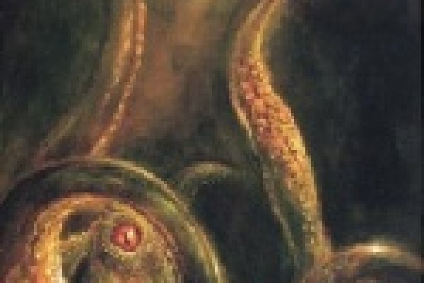 Пользователь не найден кракен супернет