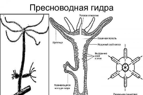 Как подключиться к супернету
