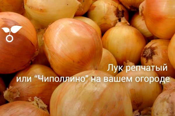 Кракен сайт как выглядит