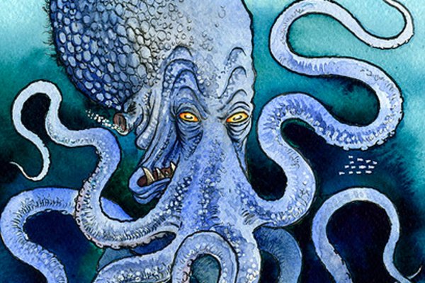 Kraken маркет whitenet только через tor