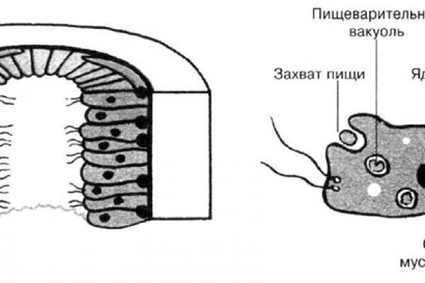 Кракен клир ссылка