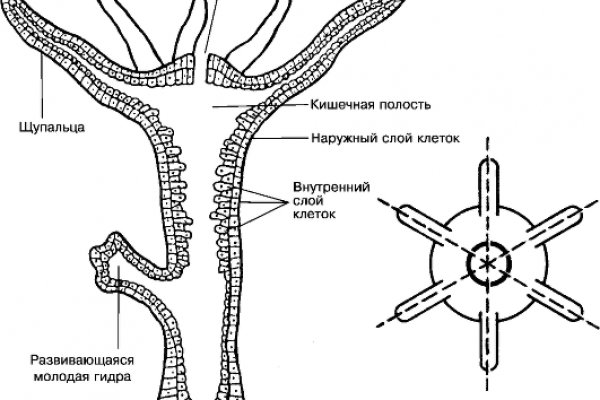 Кракен это супернет