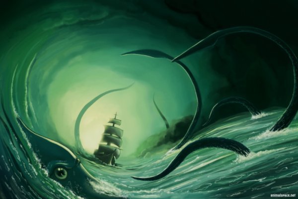 Kraken whitenet kraken whitenet 2n com