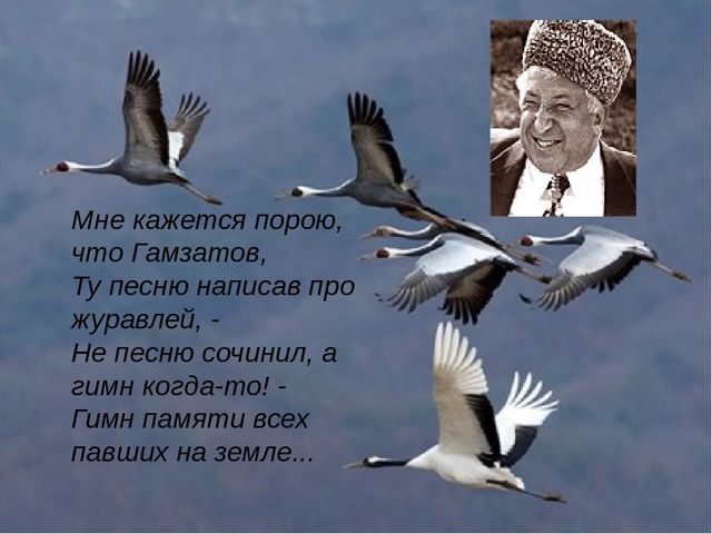 Кракен супернет плейс